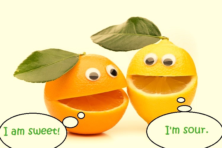 An orange is chatting with a lemon